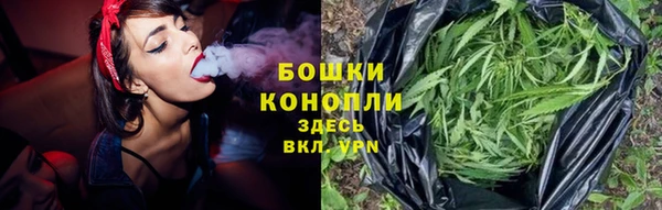 стаф Ладушкин