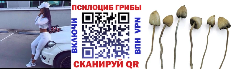 Псилоцибиновые грибы MAGIC MUSHROOMS ссылка на мегу онион Елизаветинская